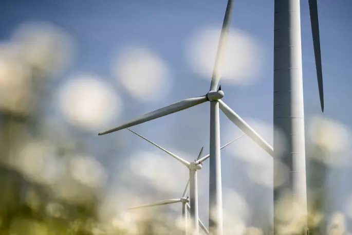 Eine Gruppe Windräder mit Blumen im Vordergrund